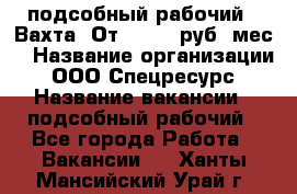 подсобный рабочий . Вахта. От 30 000 руб./мес. › Название организации ­ ООО Спецресурс › Название вакансии ­ подсобный рабочий - Все города Работа » Вакансии   . Ханты-Мансийский,Урай г.